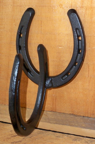Horseshoe Hook - Click Image to Close